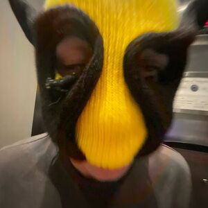 Meet your Posher, Zev